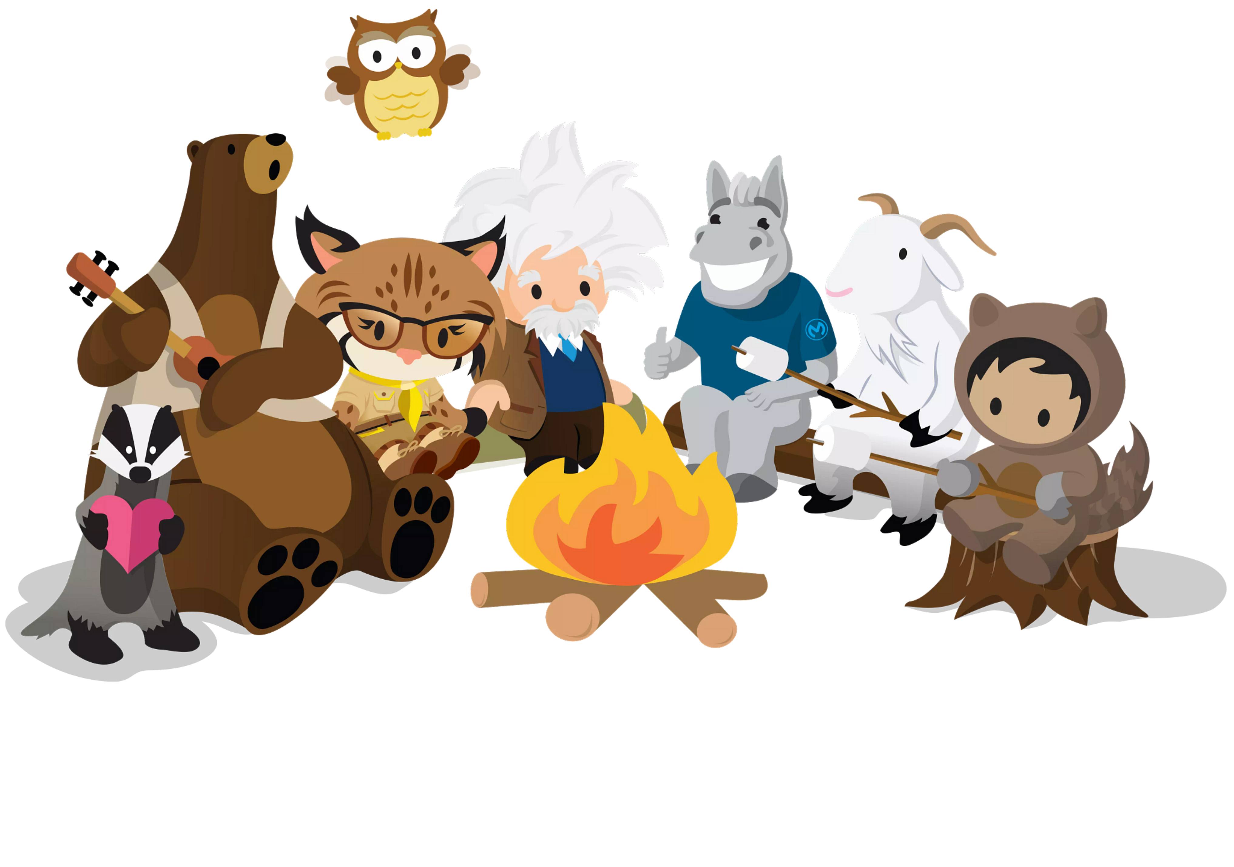 lastcampfire